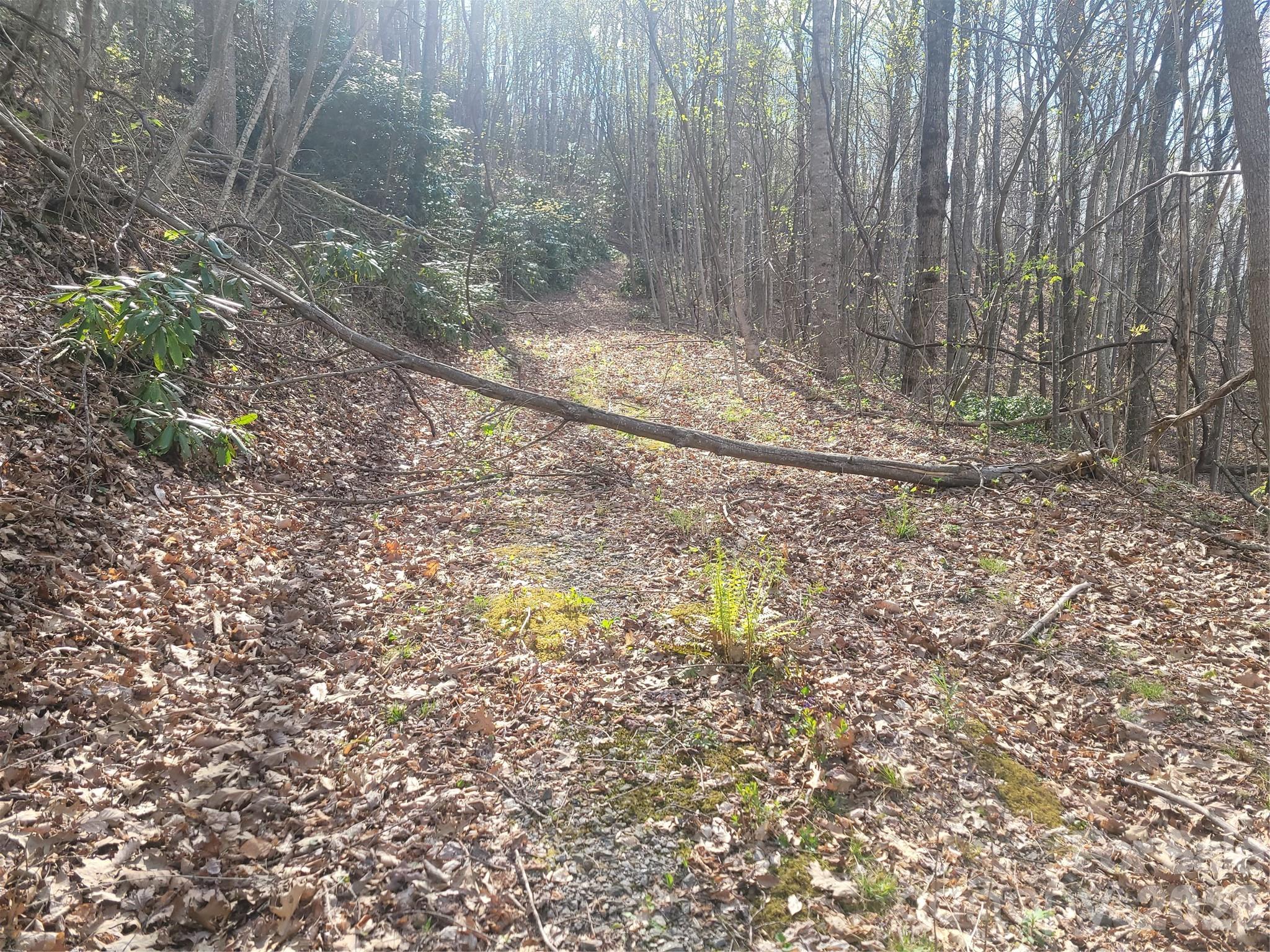 9999 Lytle Cove Road Swannanoa NC 28778