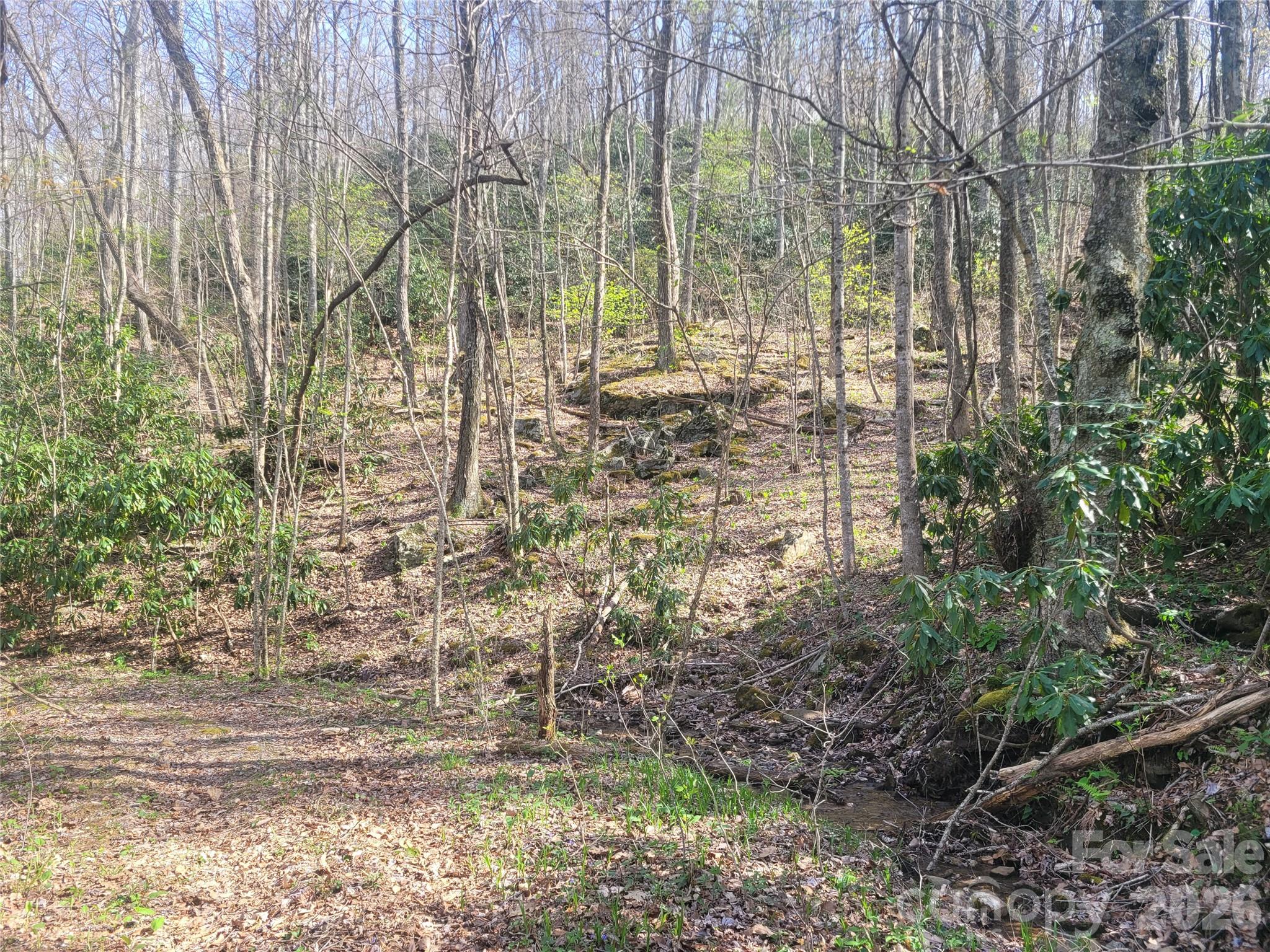 9999 Lytle Cove Road Swannanoa NC 28778