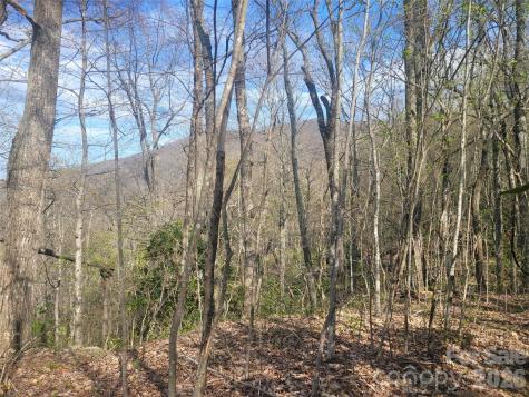 9999 Lytle Cove Road Swannanoa NC 28778