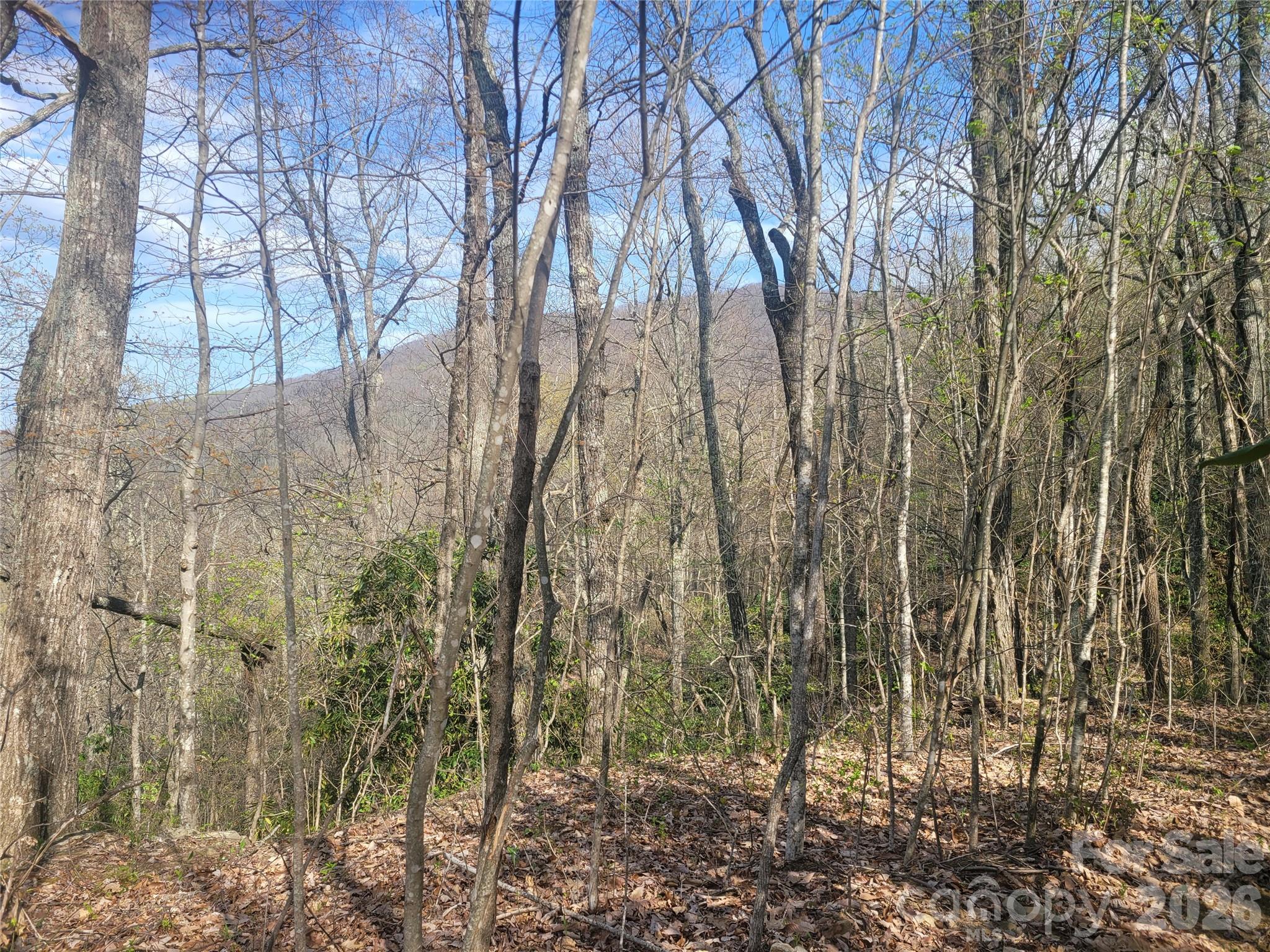 9999 Lytle Cove Road Swannanoa NC 28778