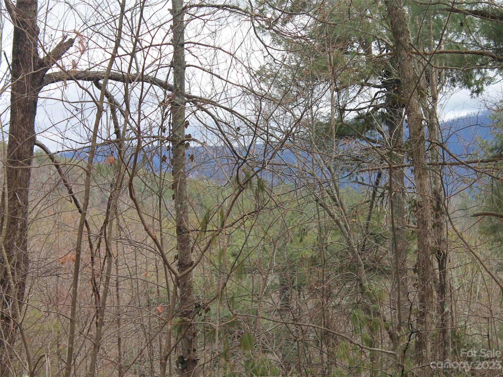 0000 Wildlife Trail Hendersonville NC 28739