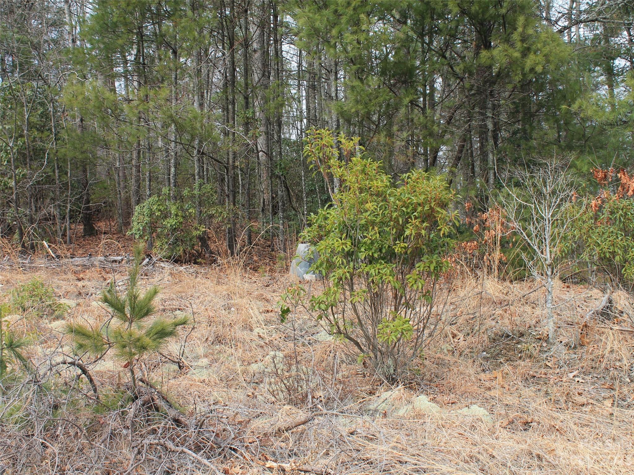 0000 Wildlife Trail Hendersonville NC 28739