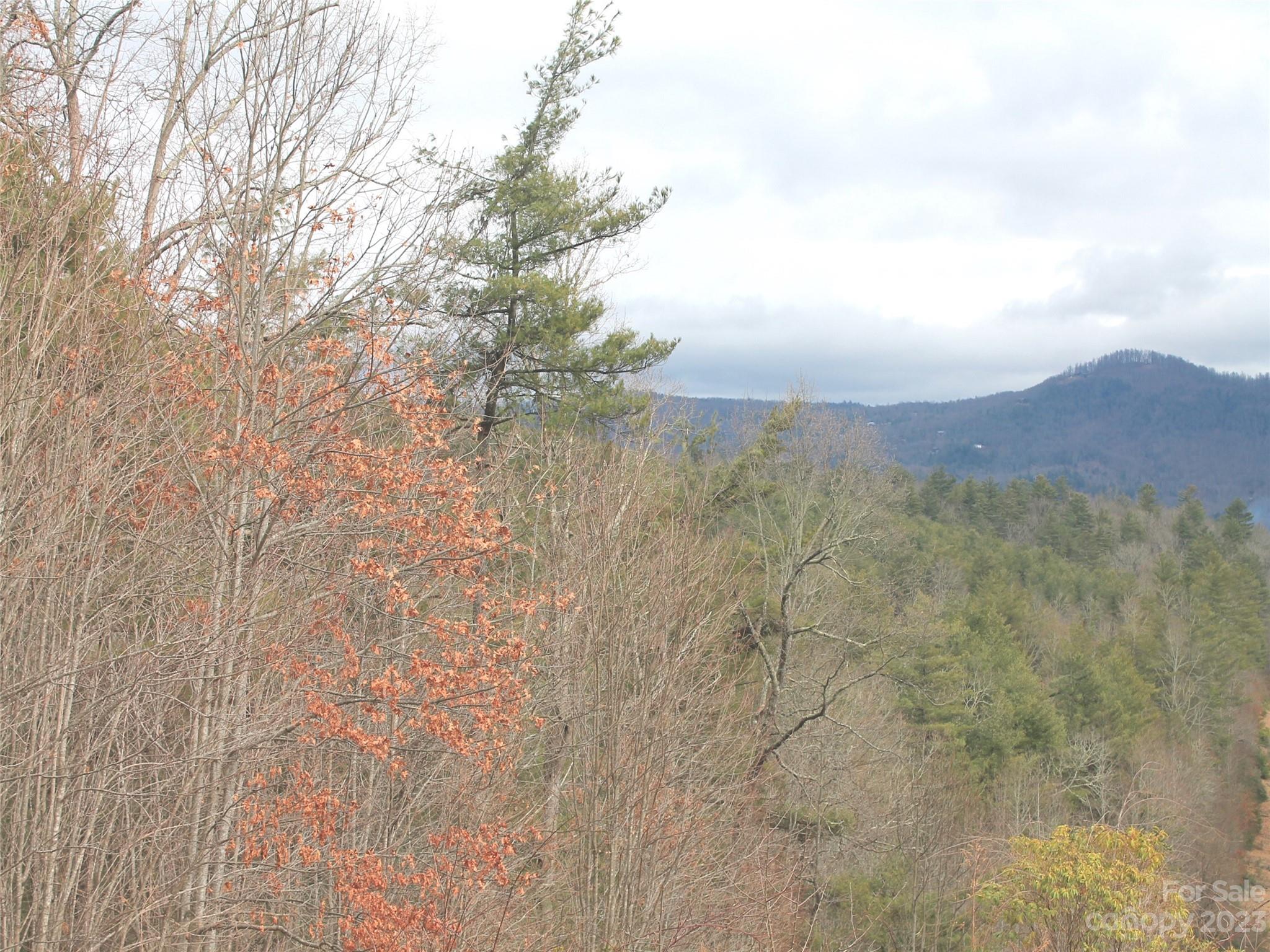 0000 Wildlife Trail Hendersonville NC 28739