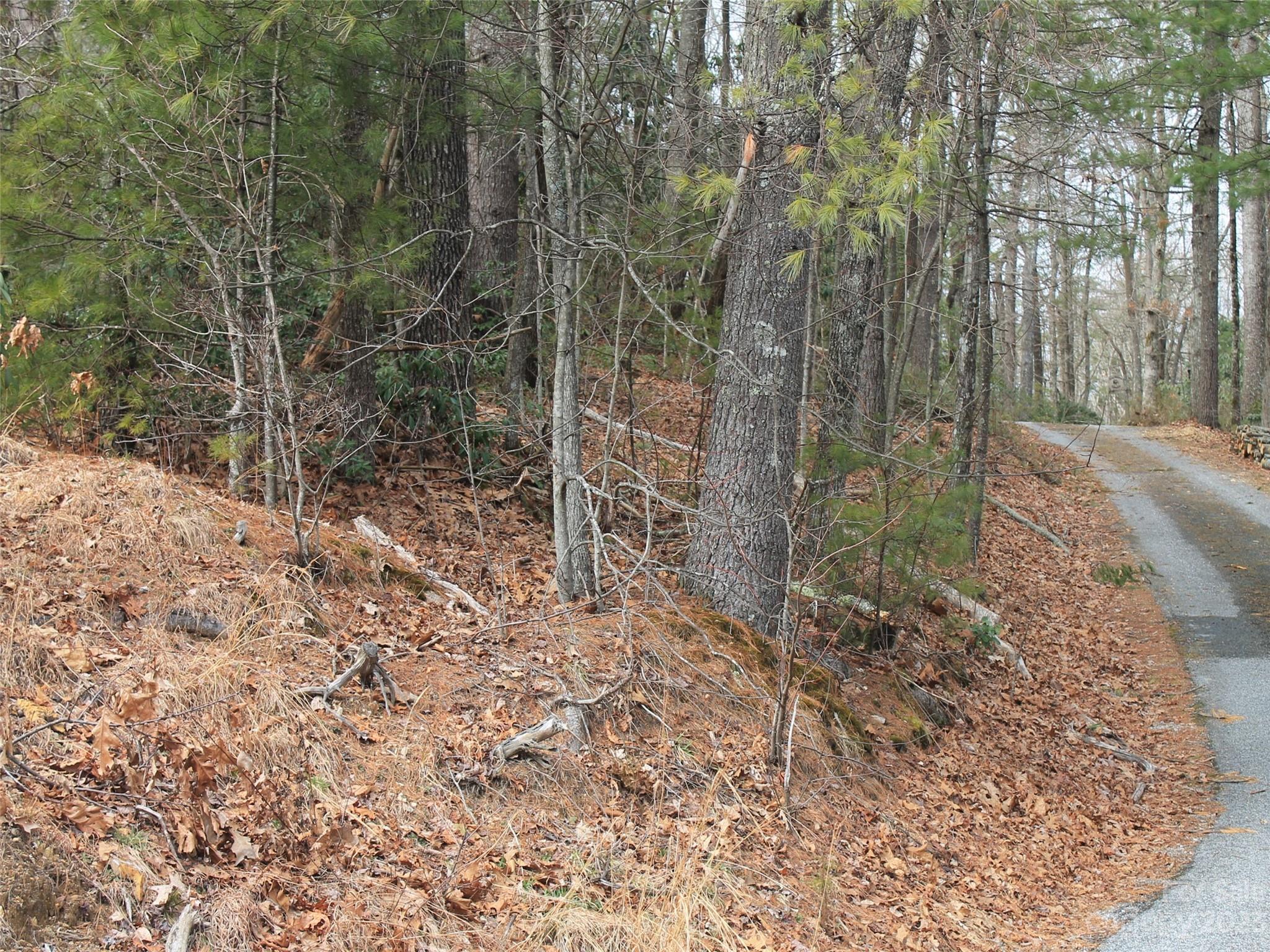 0000 Wildlife Trail Hendersonville NC 28739