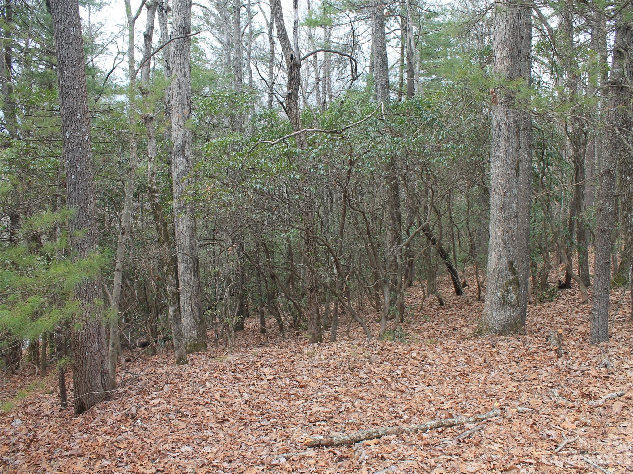0000 Wildlife Trail Hendersonville NC 28739