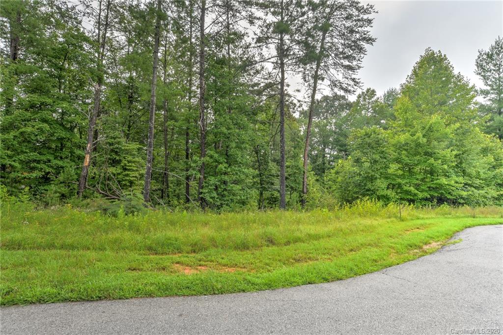 30 Grizzly Drive Leicester NC 28748