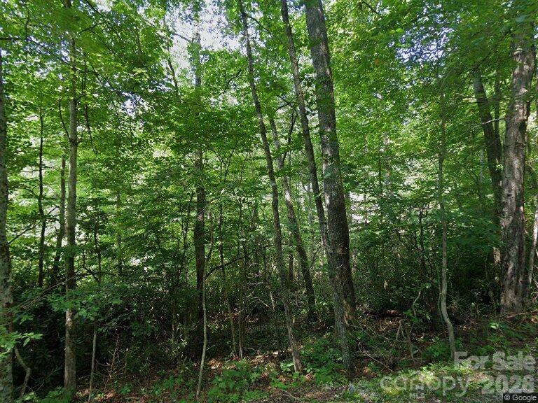 150 Ivy Road Newland NC 28657