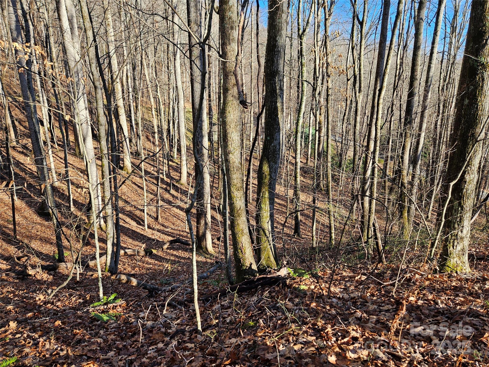 000 Serenity Drive Waynesville NC 28785