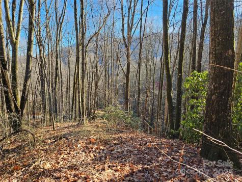 000 Serenity Drive Waynesville NC 28785