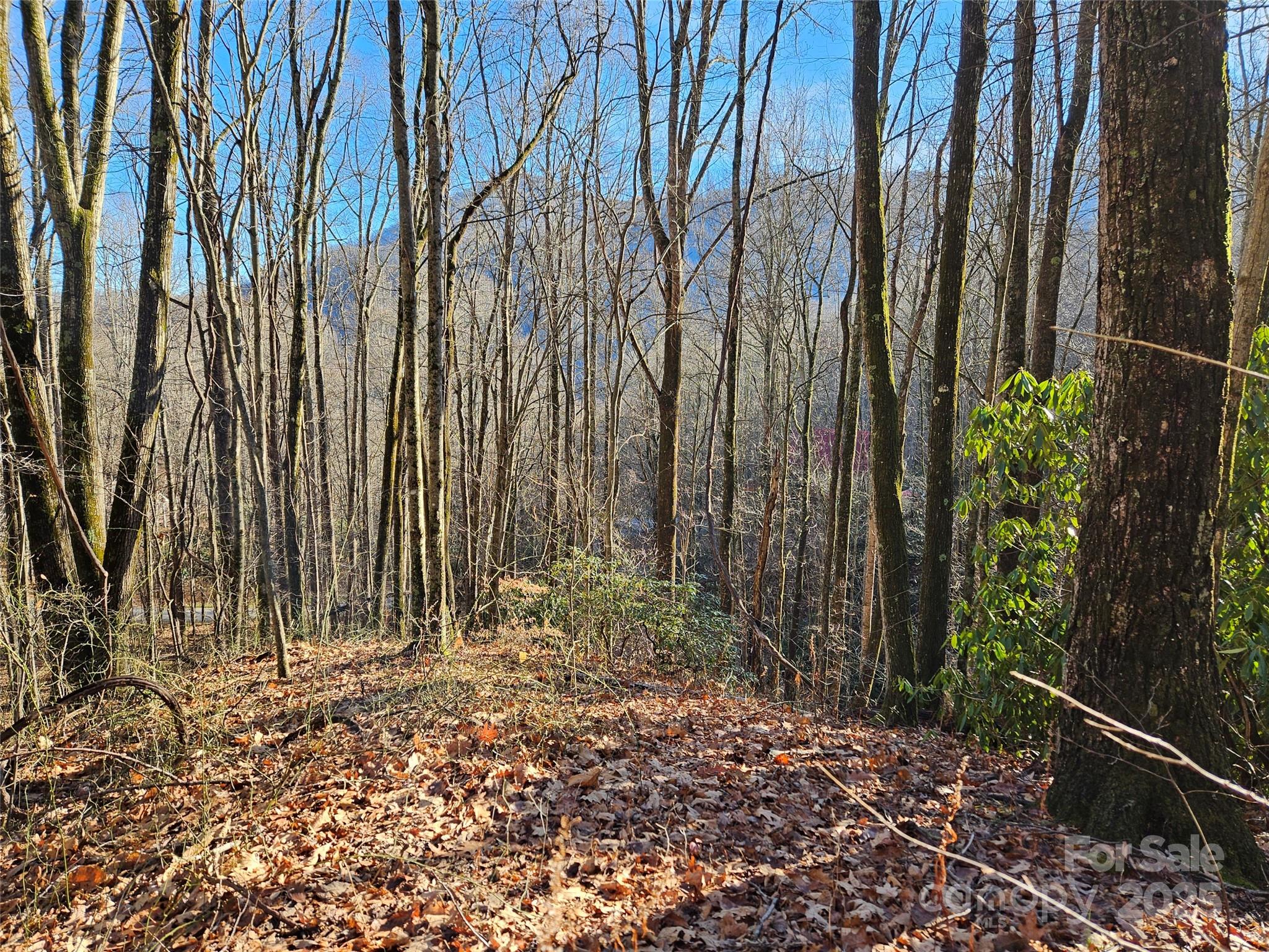 000 Serenity Drive Waynesville NC 28785