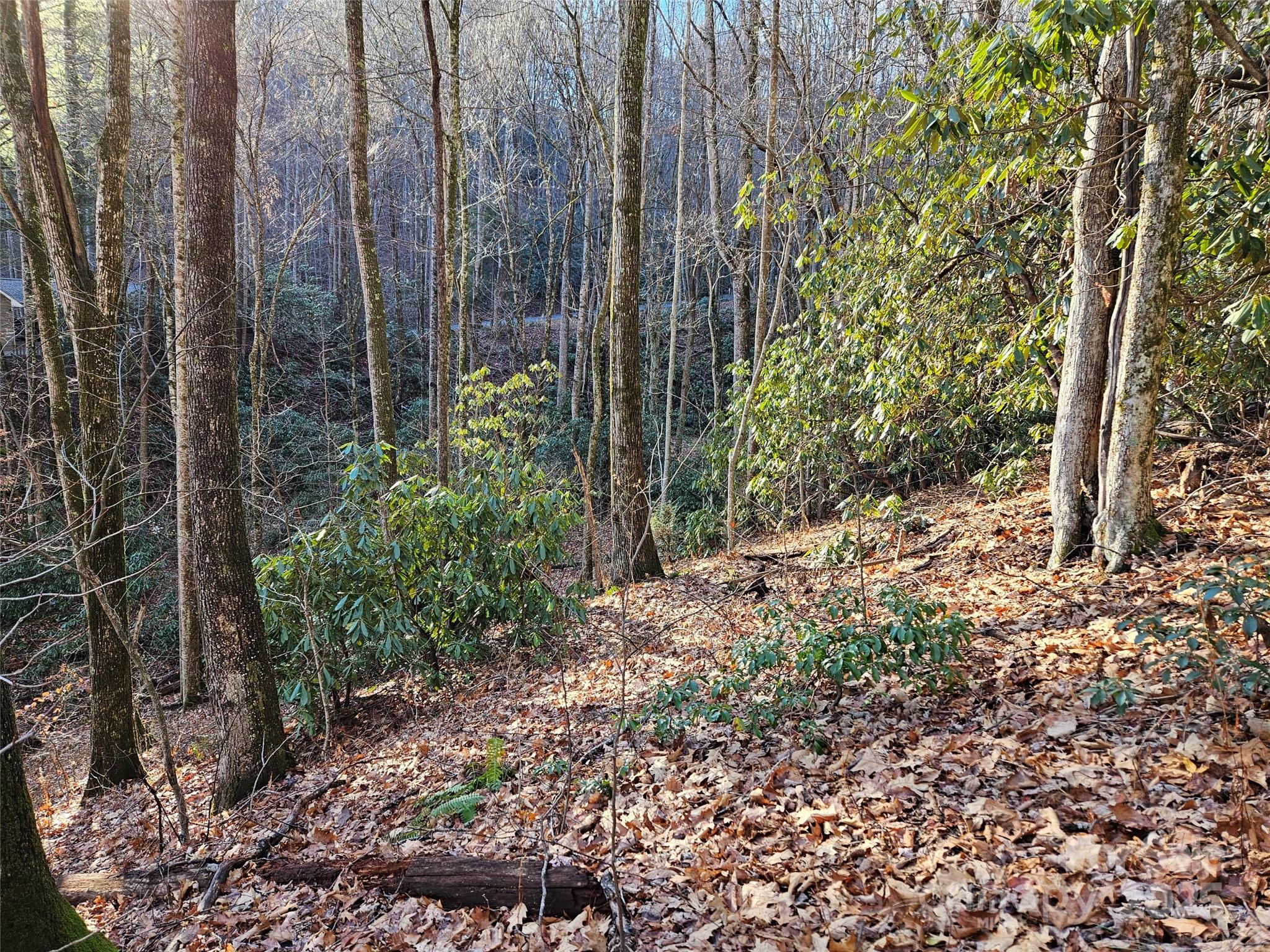 000 Serenity Drive Waynesville NC 28785