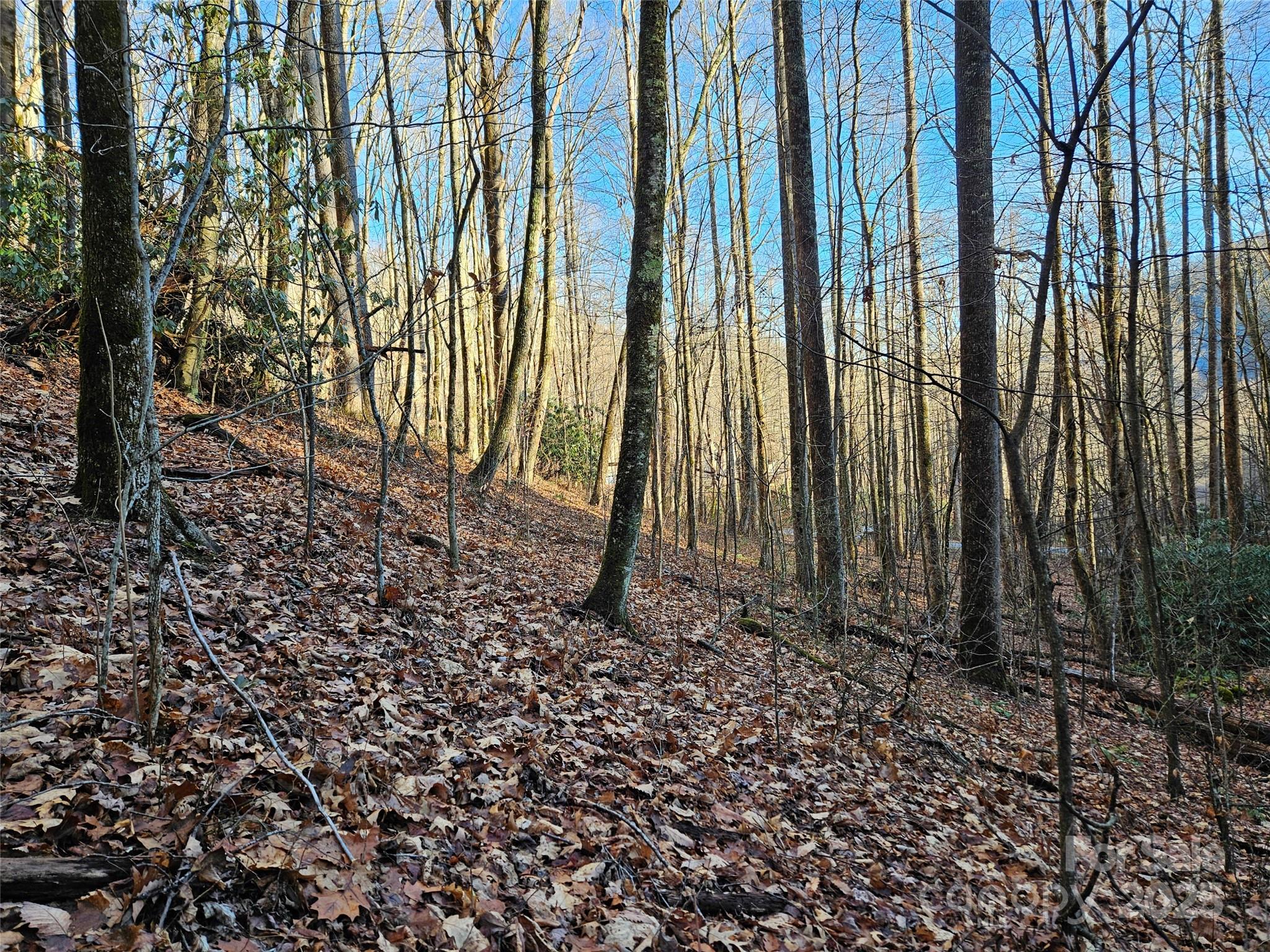 000 Serenity Drive Waynesville NC 28785