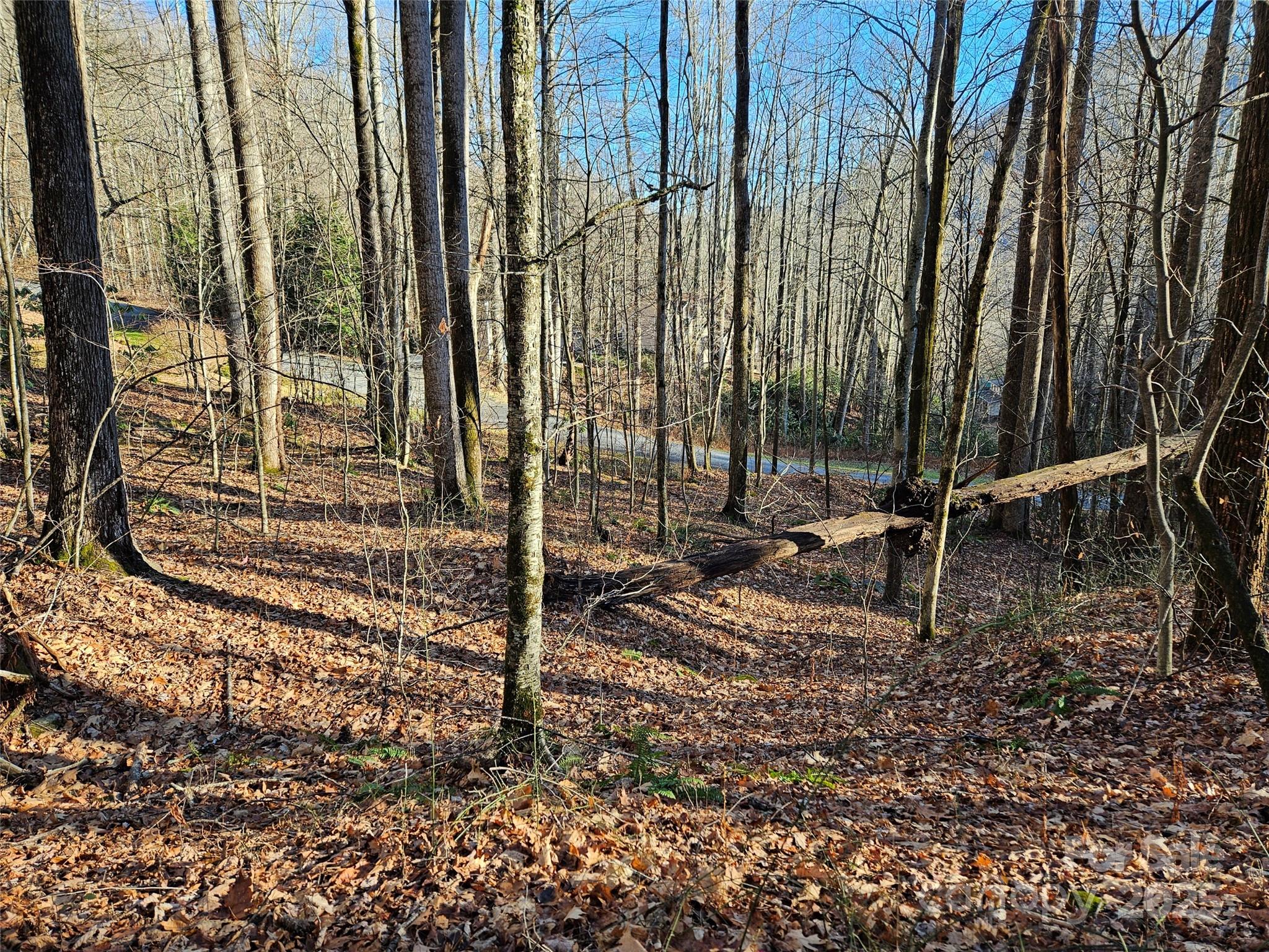 000 Serenity Drive Waynesville NC 28785