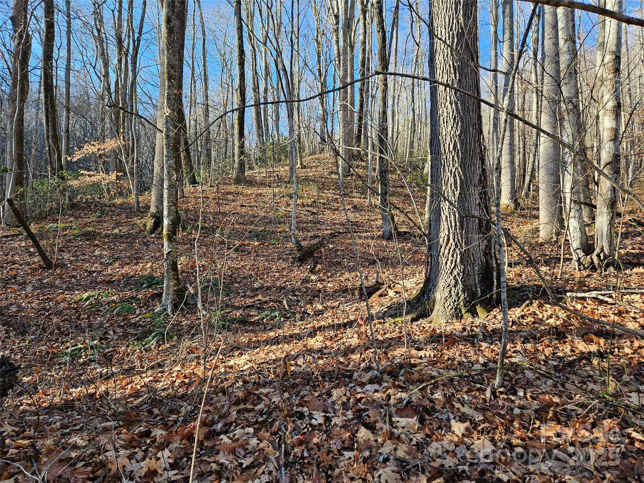 000 Serenity Drive Waynesville NC 28785