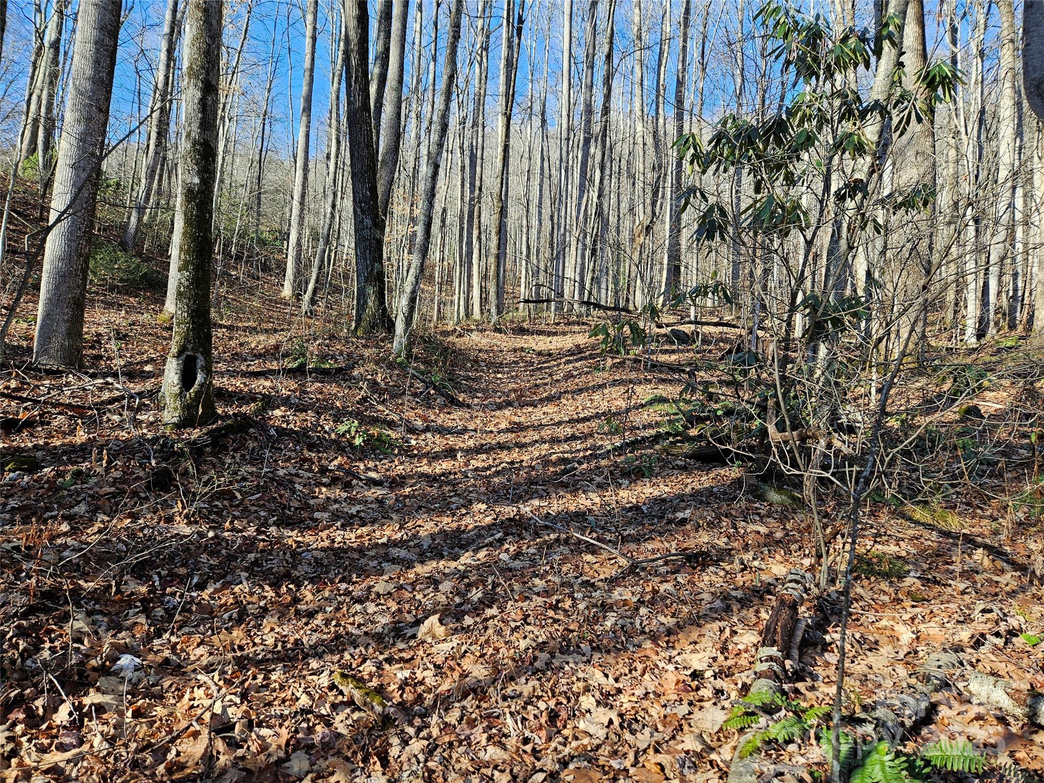 000 Serenity Drive Waynesville NC 28785