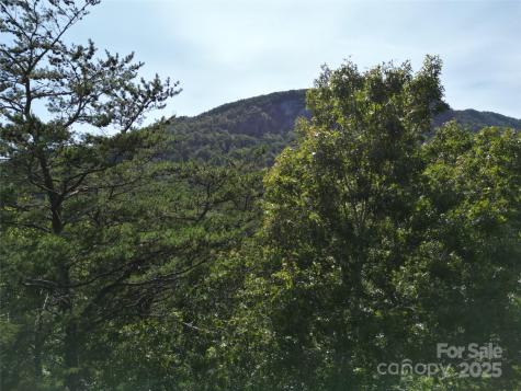Lot 152 Sullivan Lane Lake Lure NC 28746