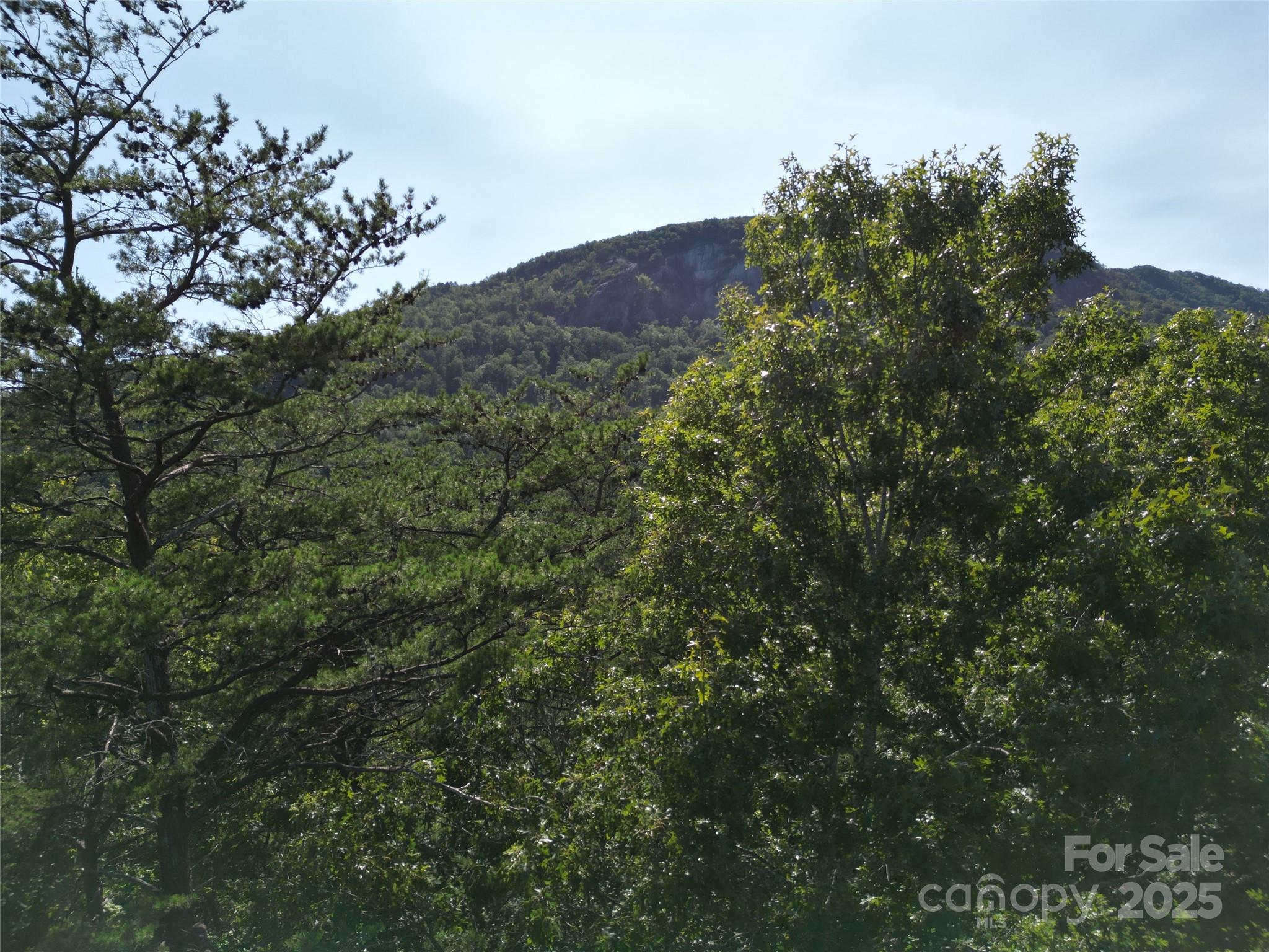 Lot 152 Sullivan Lane Lake Lure NC 28746