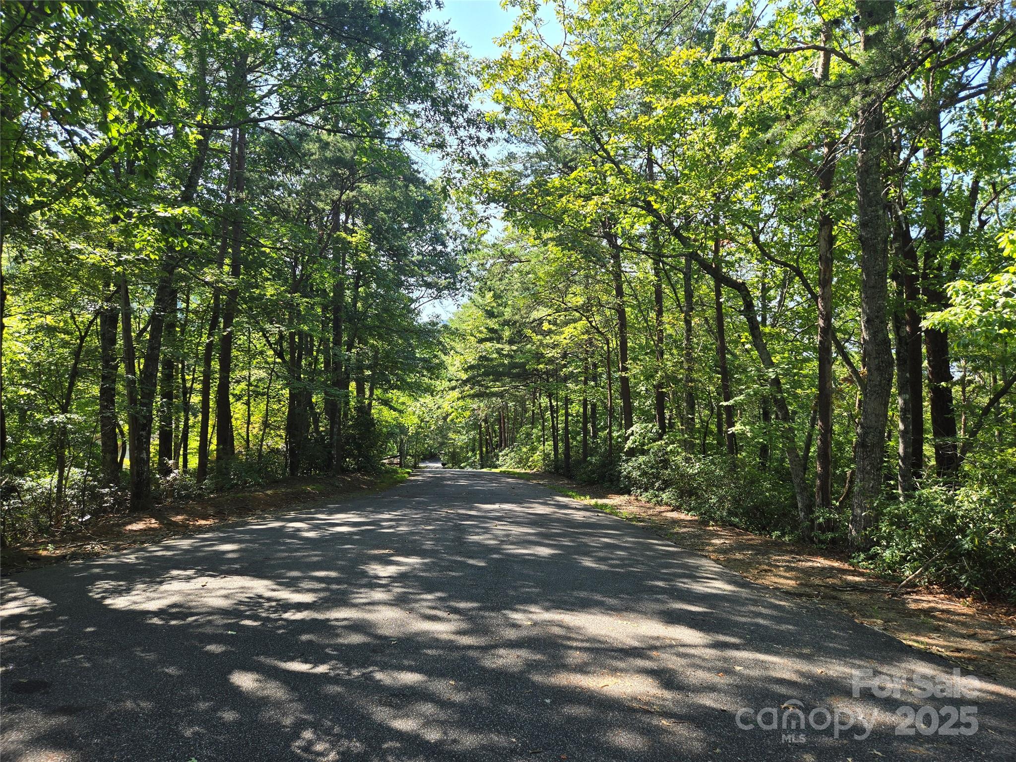 Lot 152 Sullivan Lane Lake Lure NC 28746