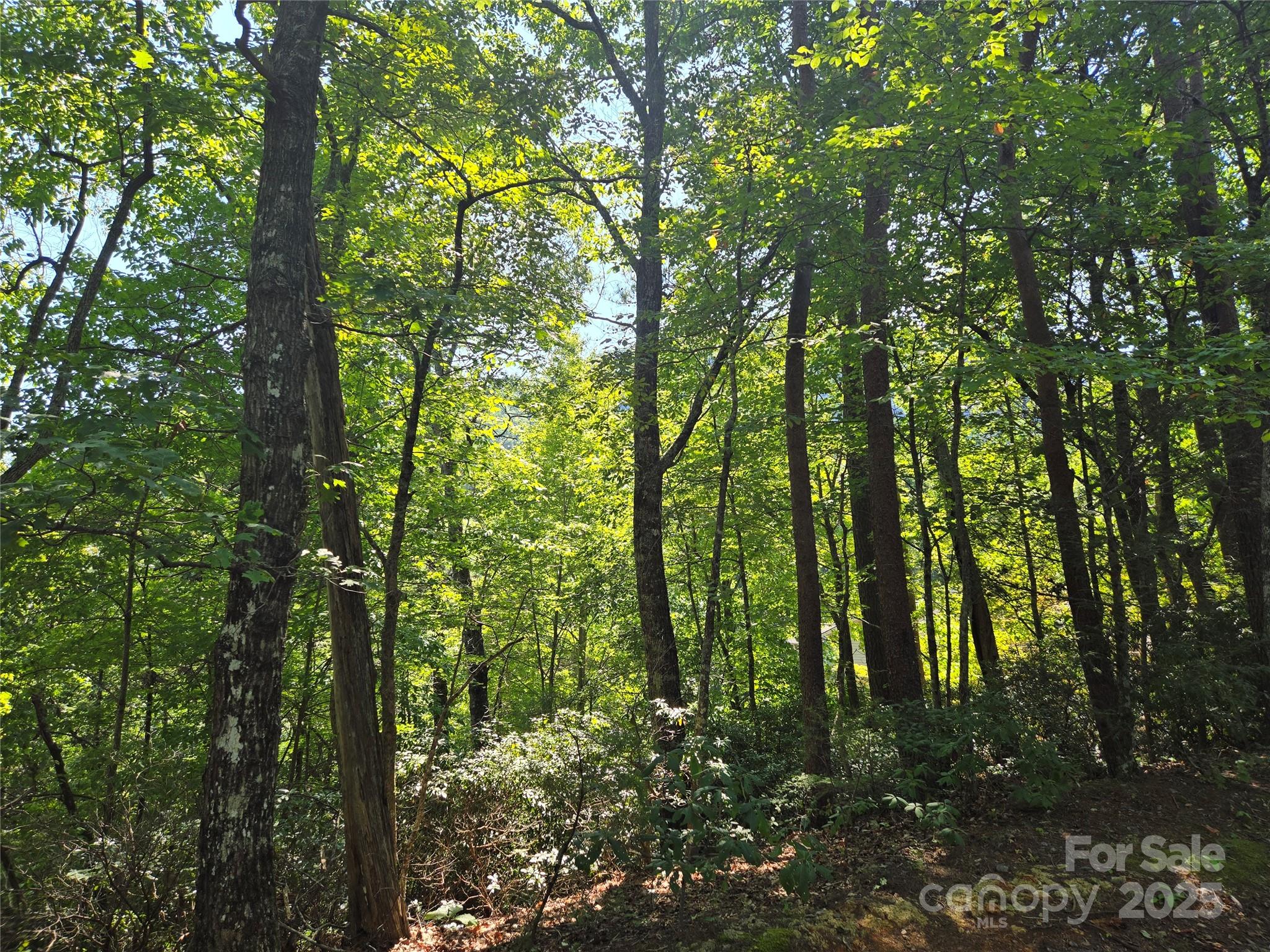Lot 152 Sullivan Lane Lake Lure NC 28746