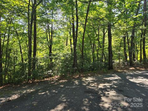 Lot 152 Sullivan Lane Lake Lure NC 28746