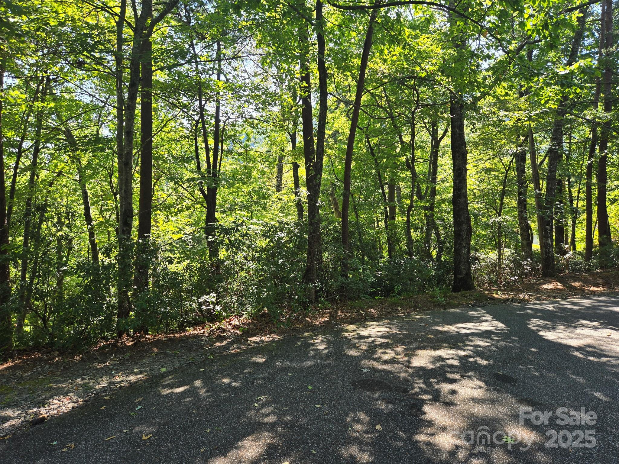 Lot 152 Sullivan Lane Lake Lure NC 28746