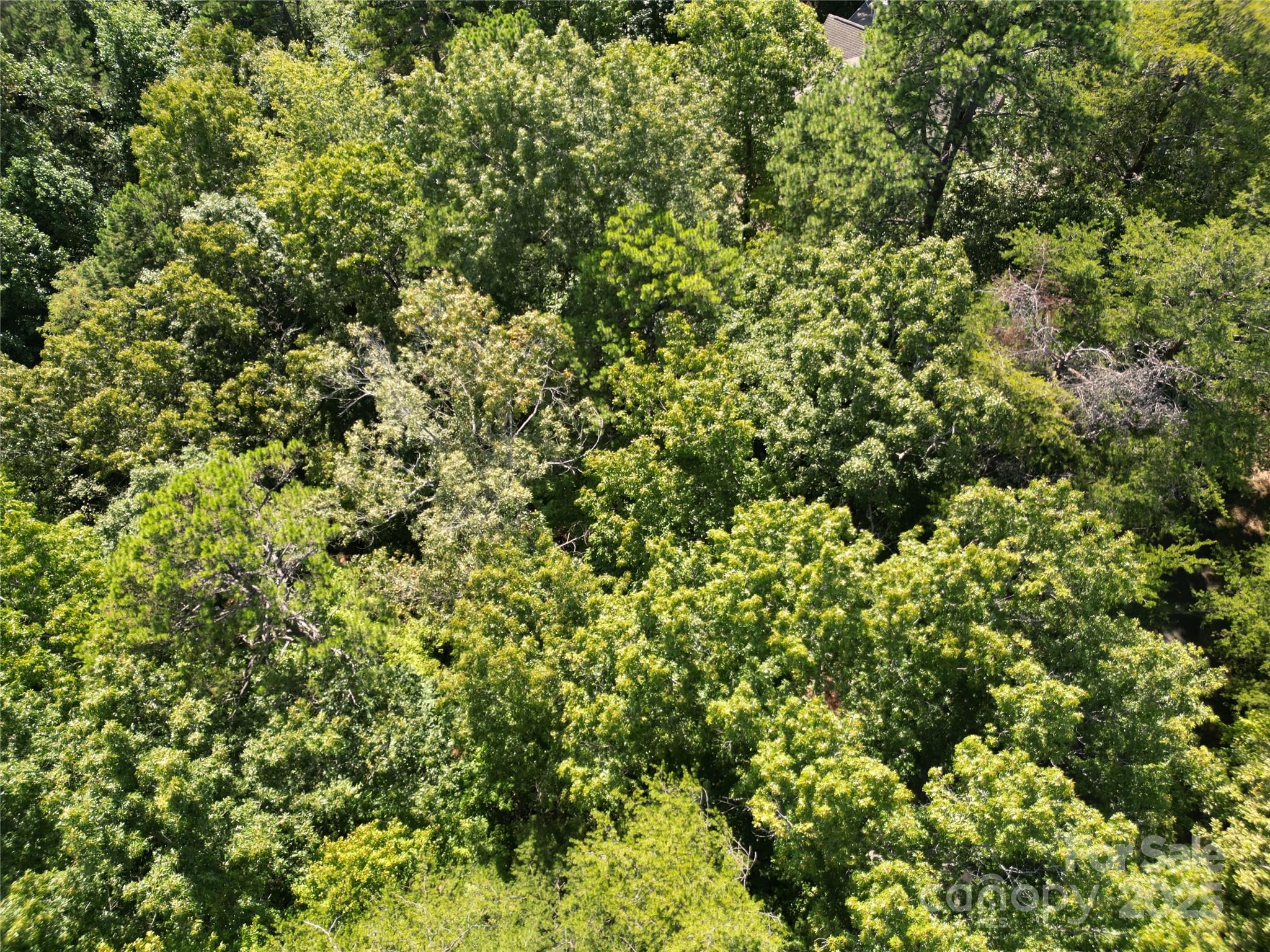 Lot 152 Sullivan Lane Lake Lure NC 28746