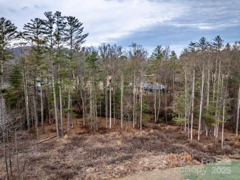 00 Crystal Mountain Drive Hendersonville NC 28739