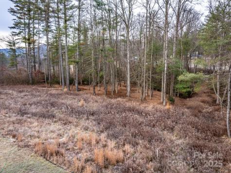 00 Crystal Mountain Drive Hendersonville NC 28739