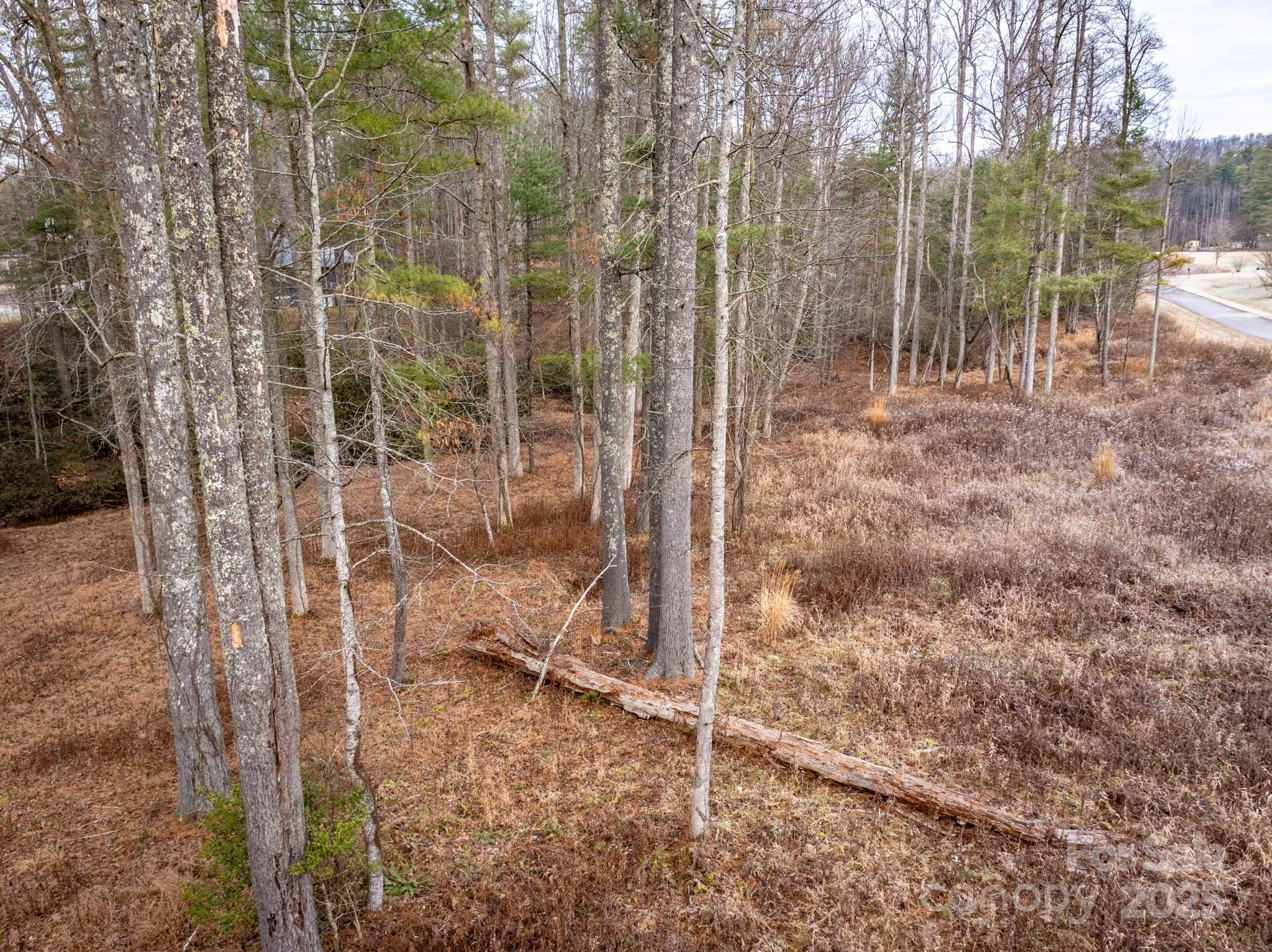 00 Crystal Mountain Drive Hendersonville NC 28739