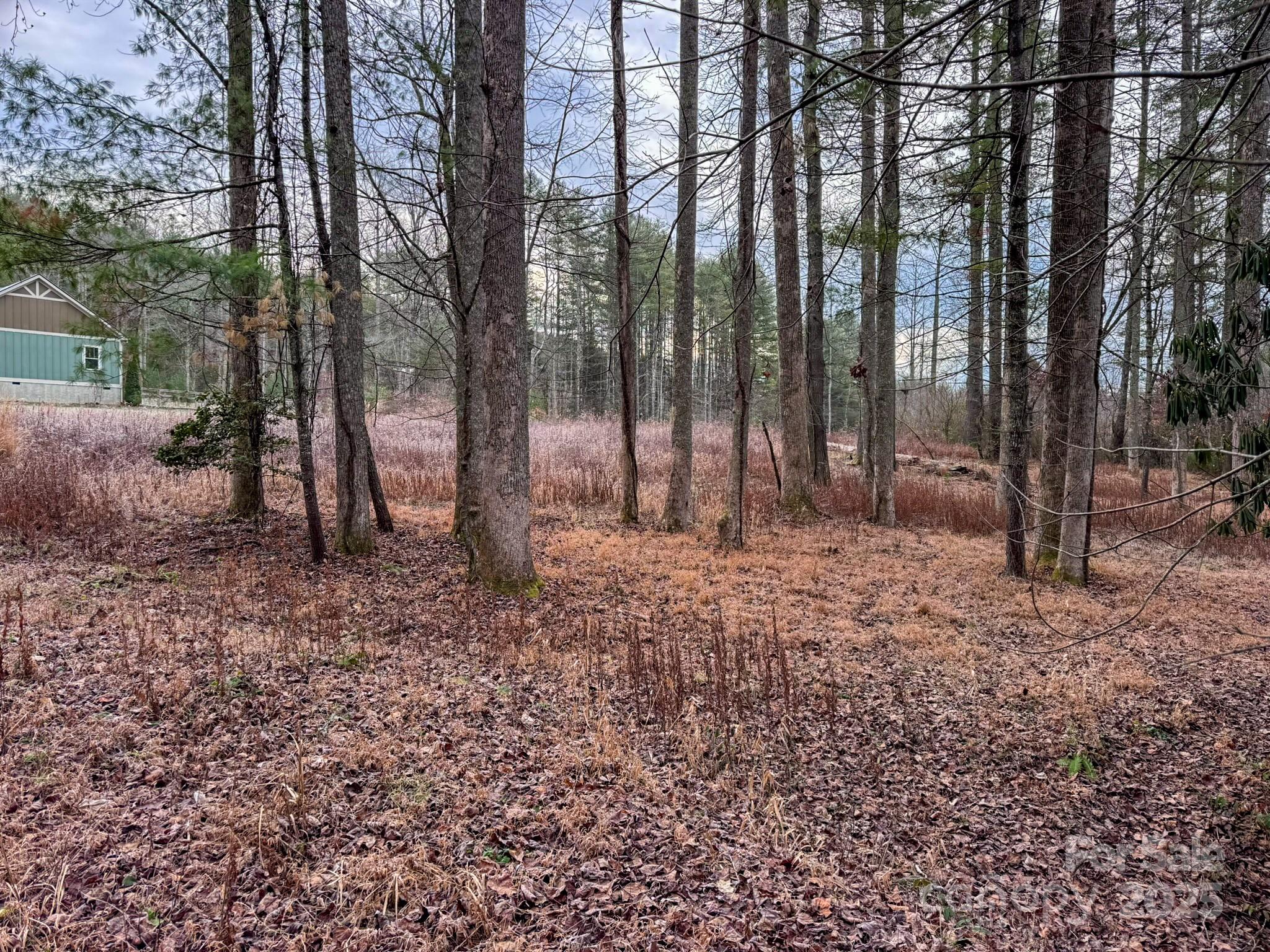 00 Crystal Mountain Drive Hendersonville NC 28739