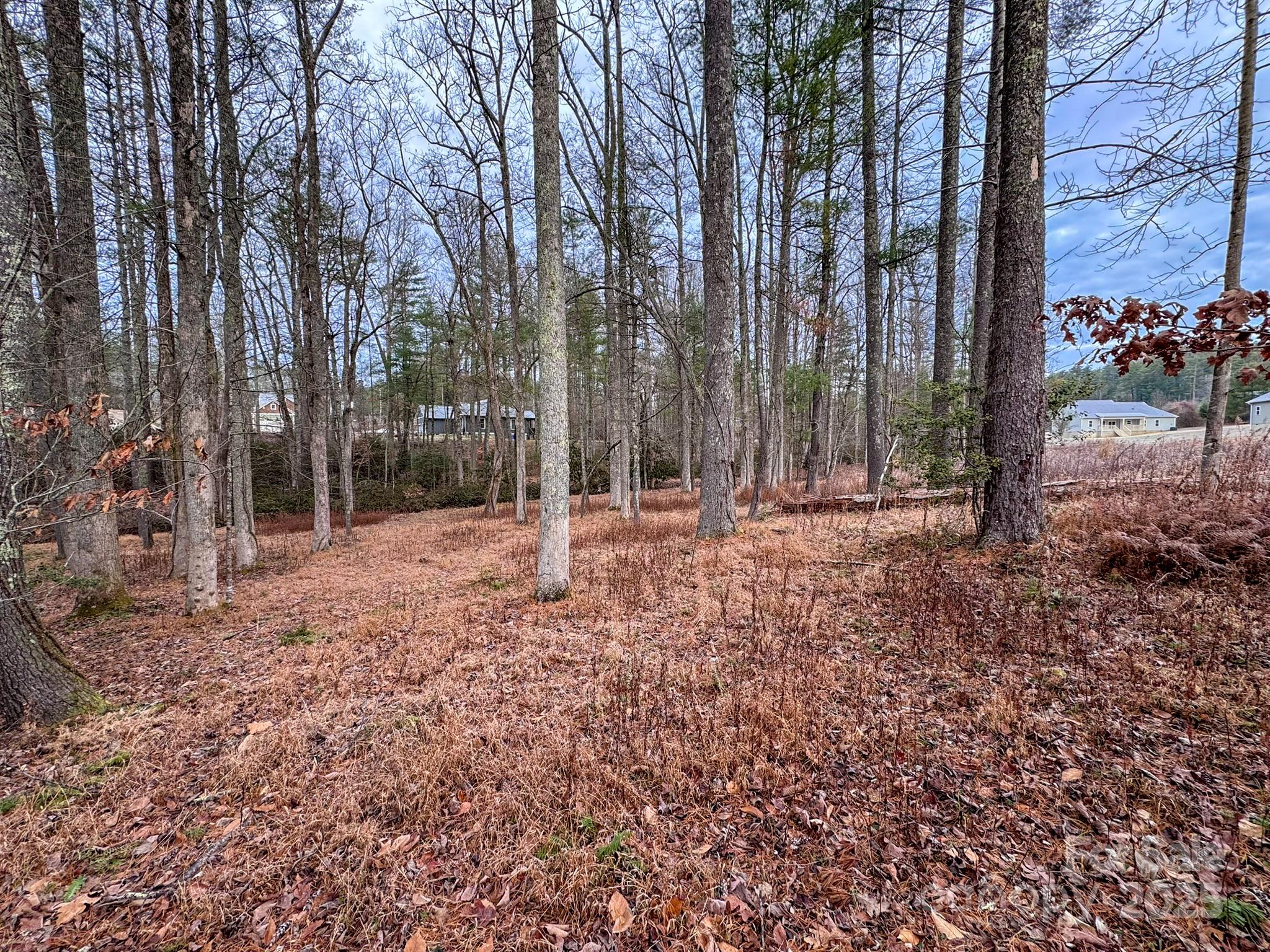 00 Crystal Mountain Drive Hendersonville NC 28739