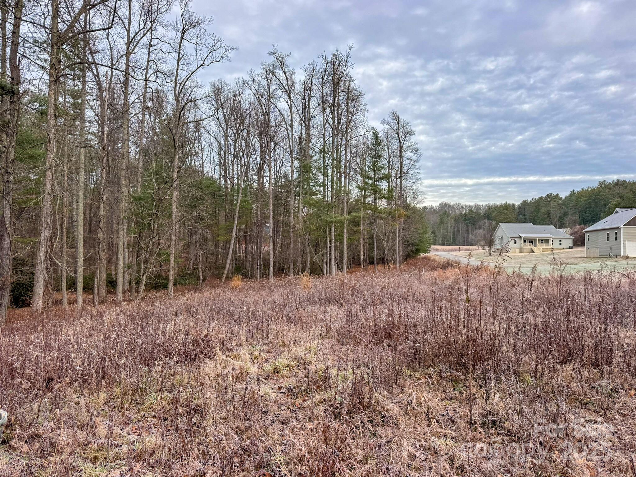 00 Crystal Mountain Drive Hendersonville NC 28739