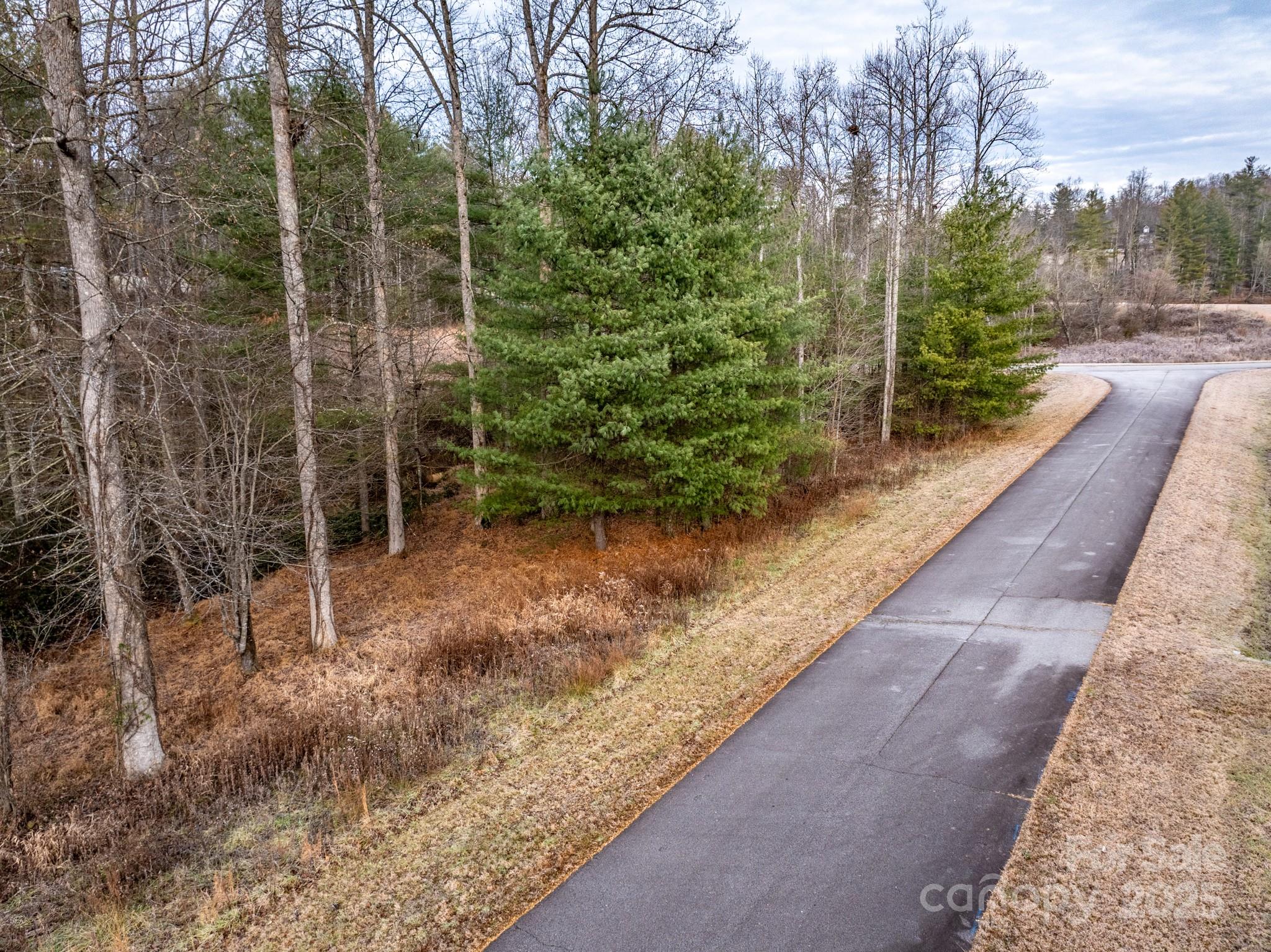 00 Crystal Mountain Drive Hendersonville NC 28739