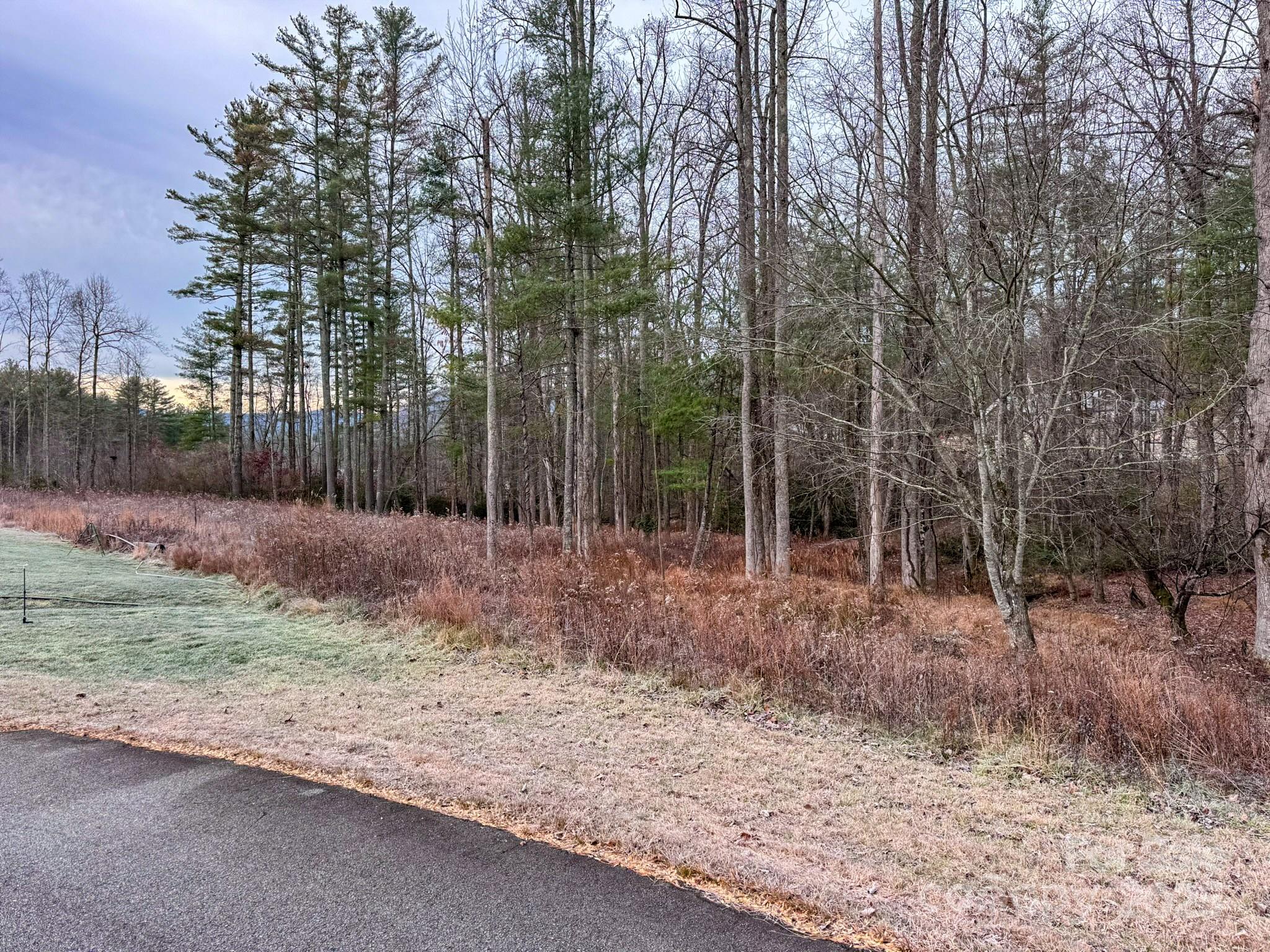 00 Crystal Mountain Drive Hendersonville NC 28739