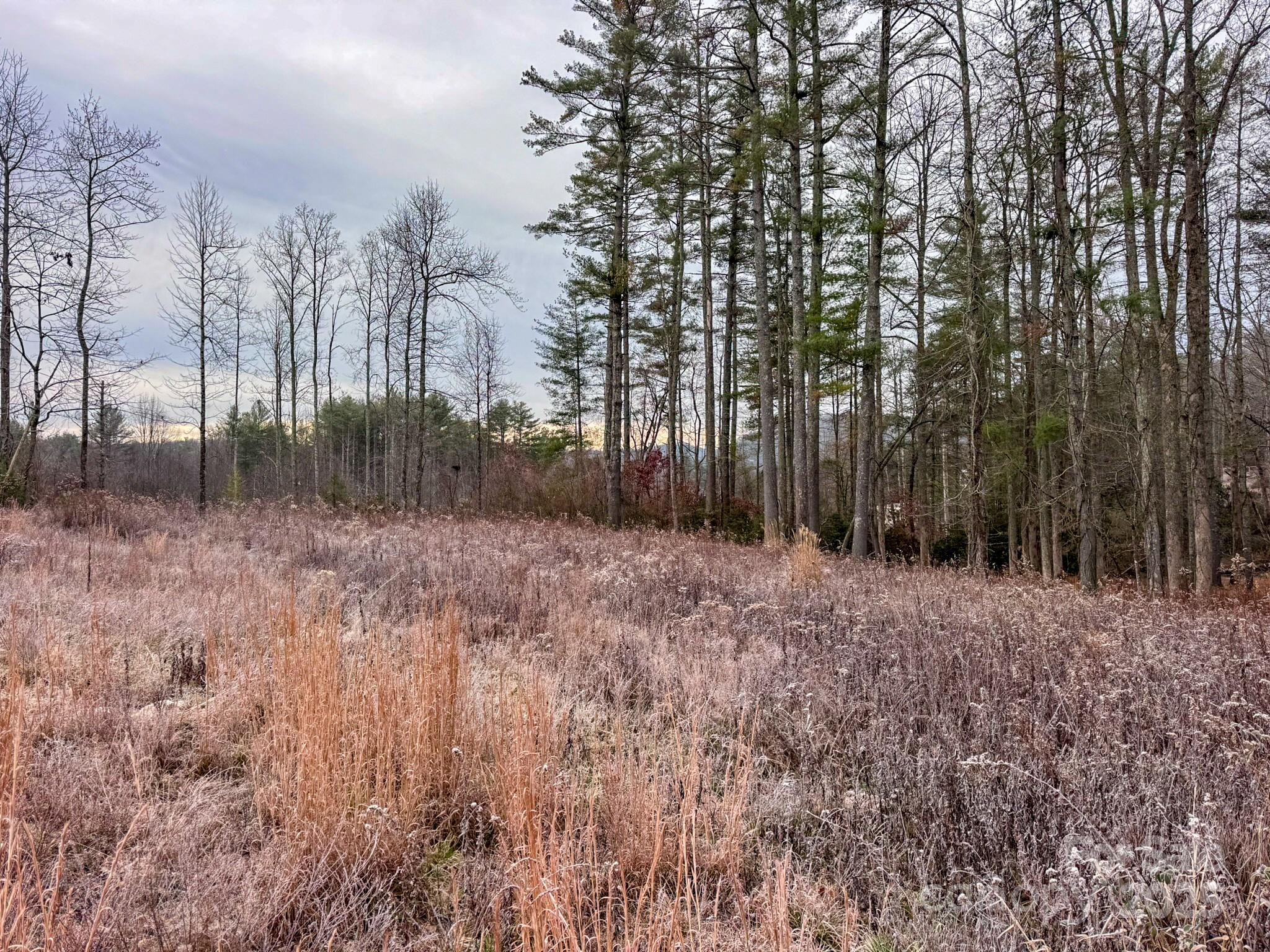 00 Crystal Mountain Drive Hendersonville NC 28739