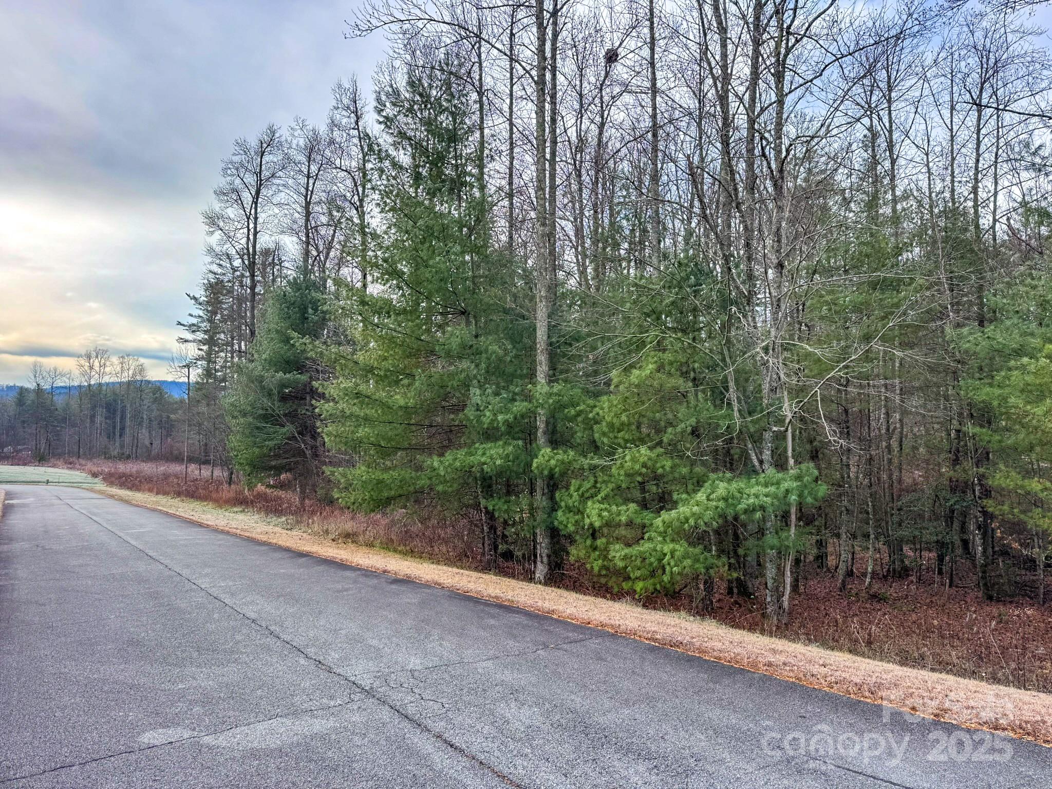 00 Crystal Mountain Drive Hendersonville NC 28739