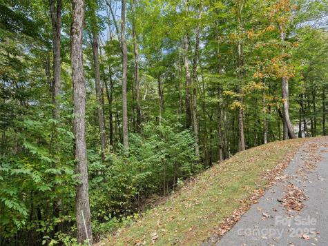0 Macallan Drive Waynesville NC 28786