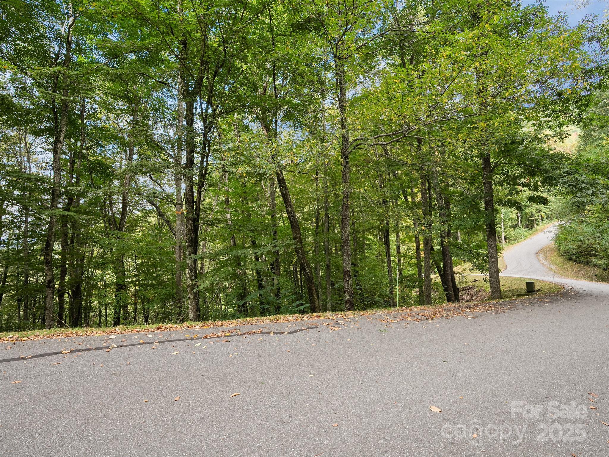 0 Macallan Drive Waynesville NC 28786