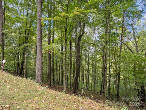 0 Macallan Drive Waynesville NC 28786
