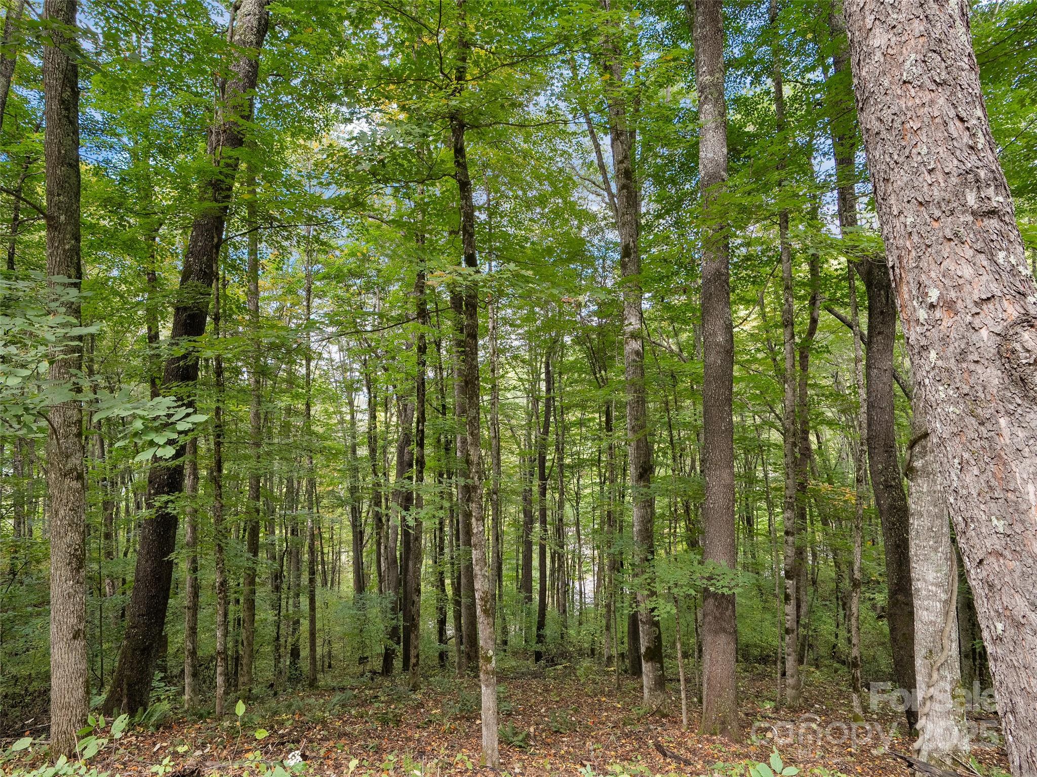 0 Macallan Drive Waynesville NC 28786