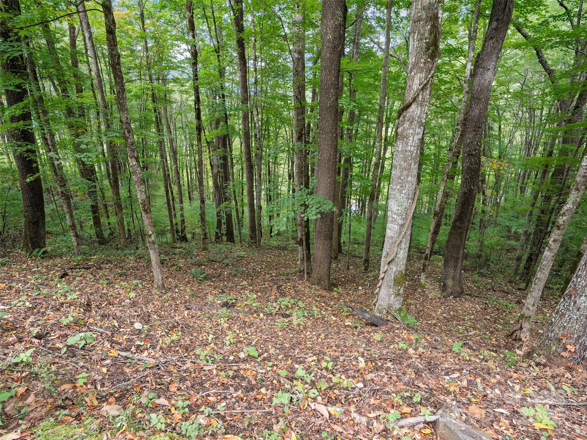 0 Macallan Drive Waynesville NC 28786