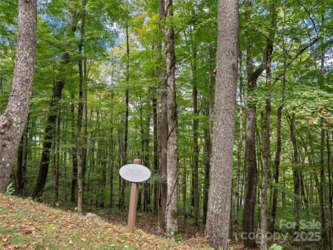 0 Macallan Drive Waynesville NC 28786