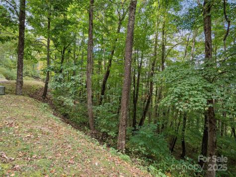 0 Macallan Drive Waynesville NC 28786