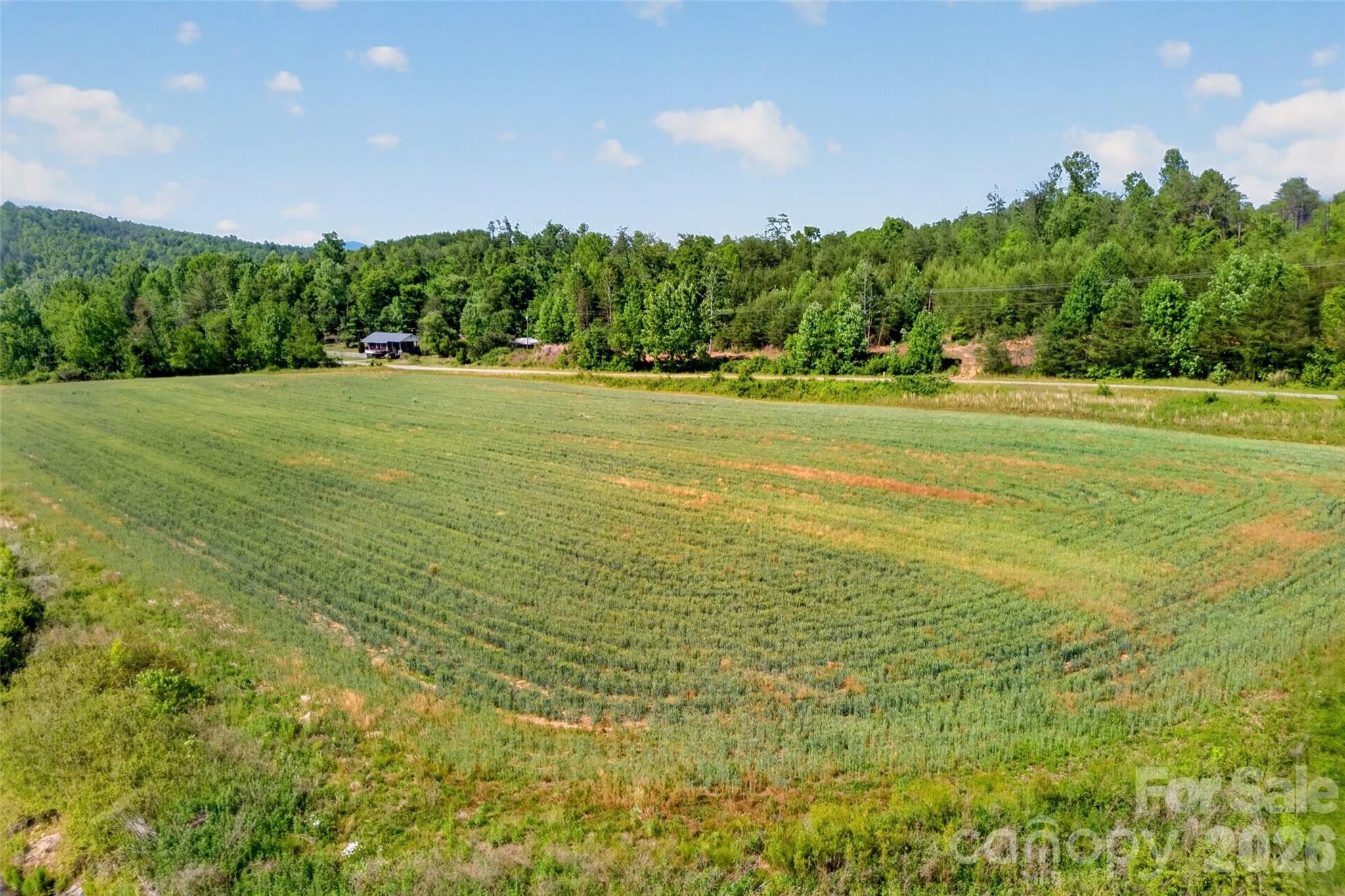 3361 Bethlehem Road Old Fort NC 28762