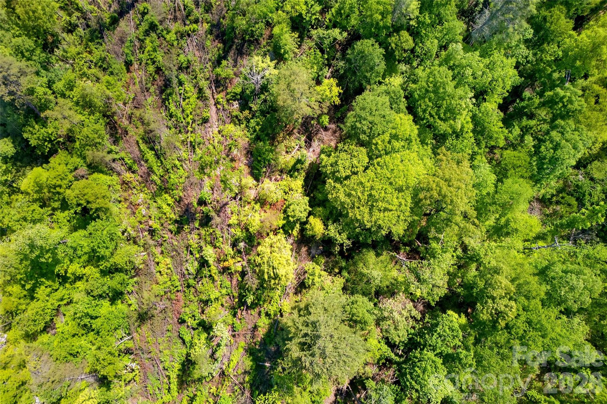 3361 Bethlehem Road Old Fort NC 28762