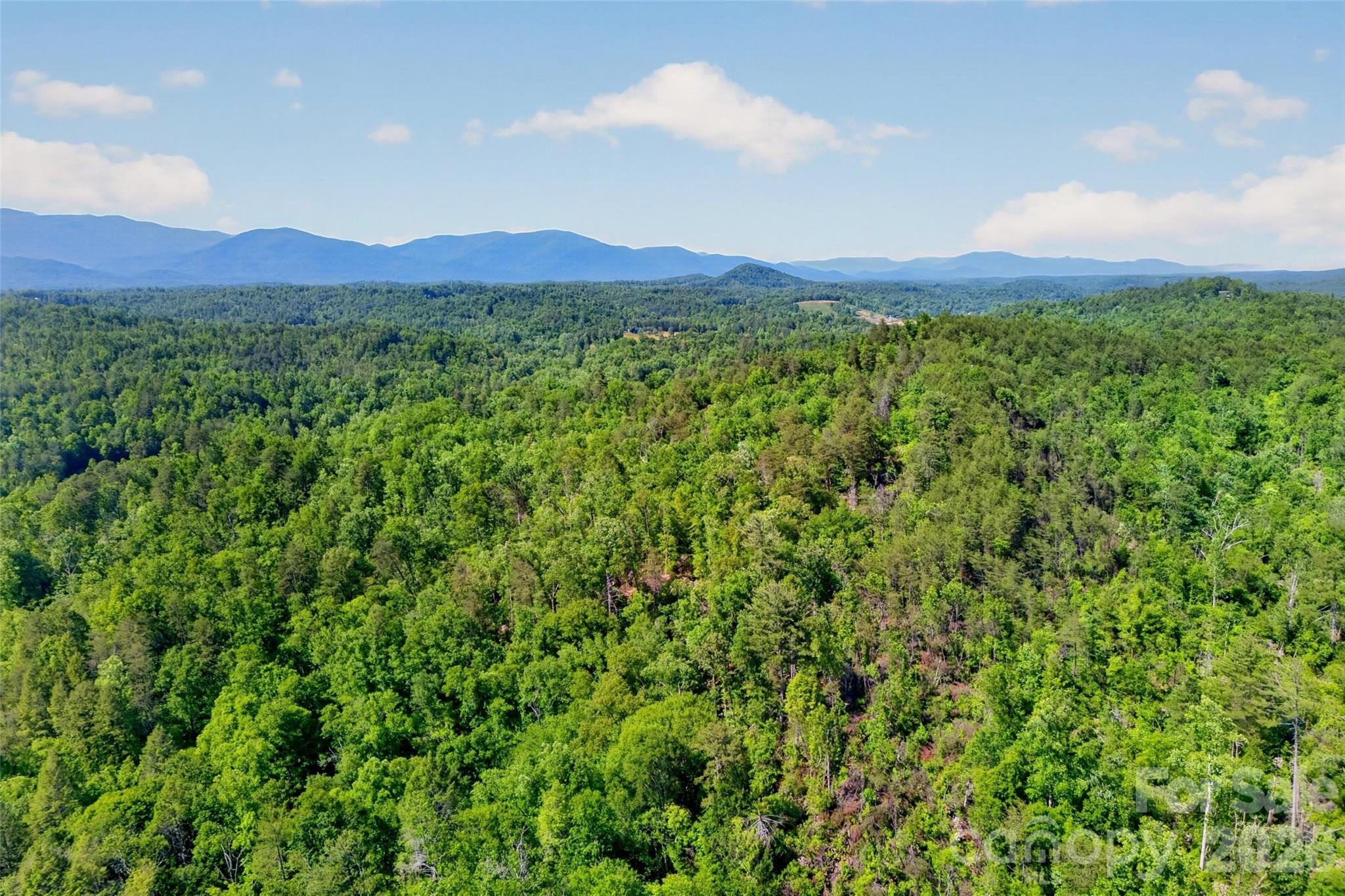 3361 Bethlehem Road Old Fort NC 28762