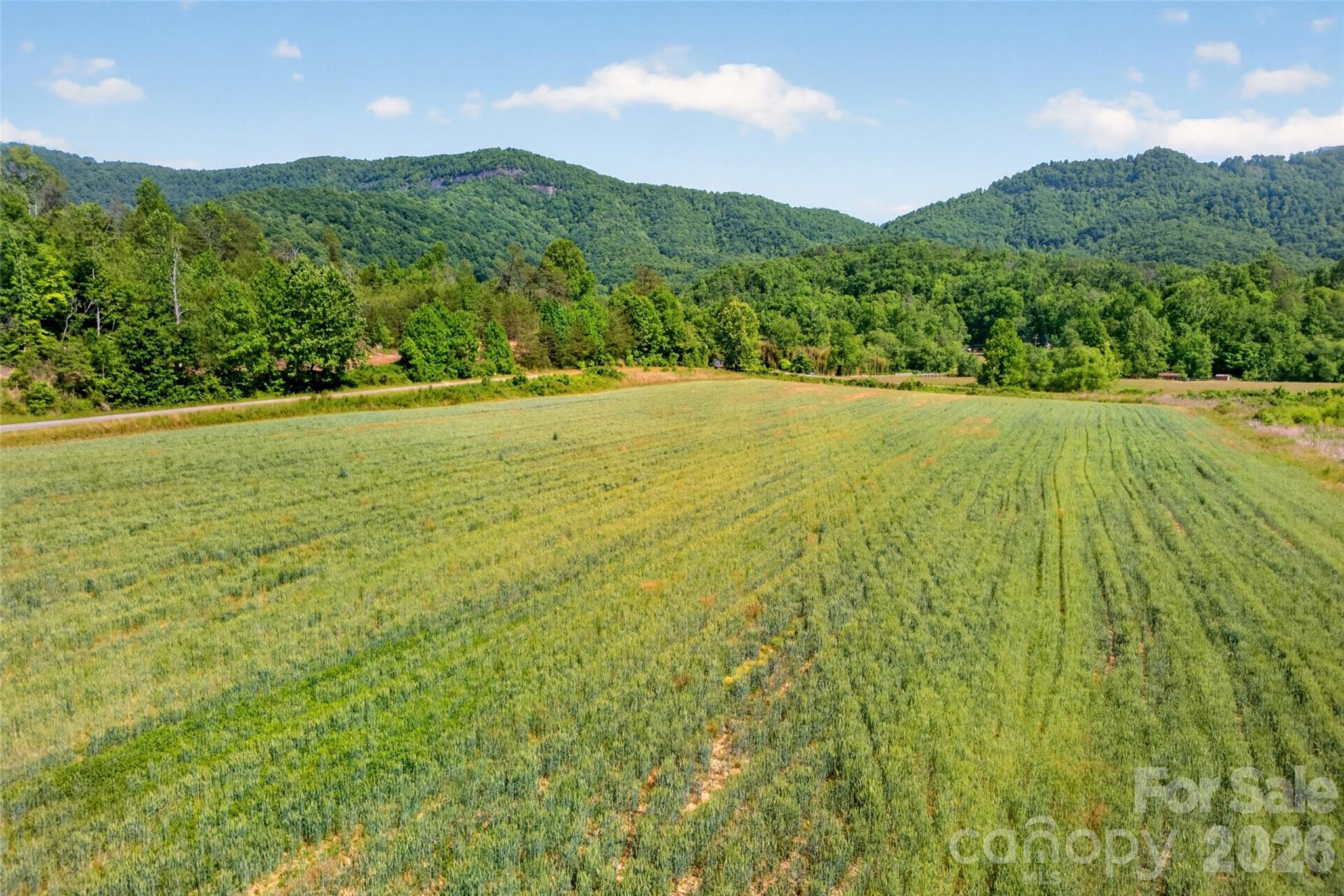3361 Bethlehem Road Old Fort NC 28762