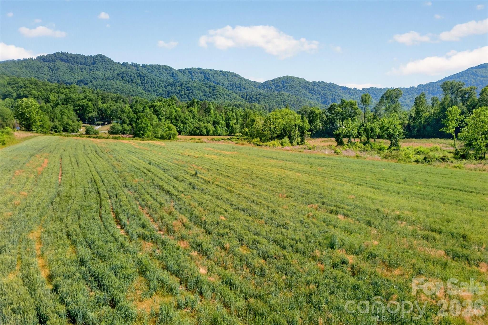 3361 Bethlehem Road Old Fort NC 28762