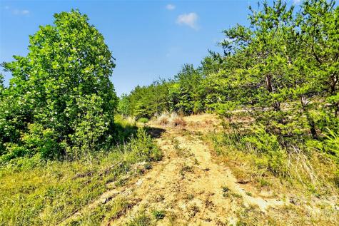 3361 Bethlehem Road Old Fort NC 28762