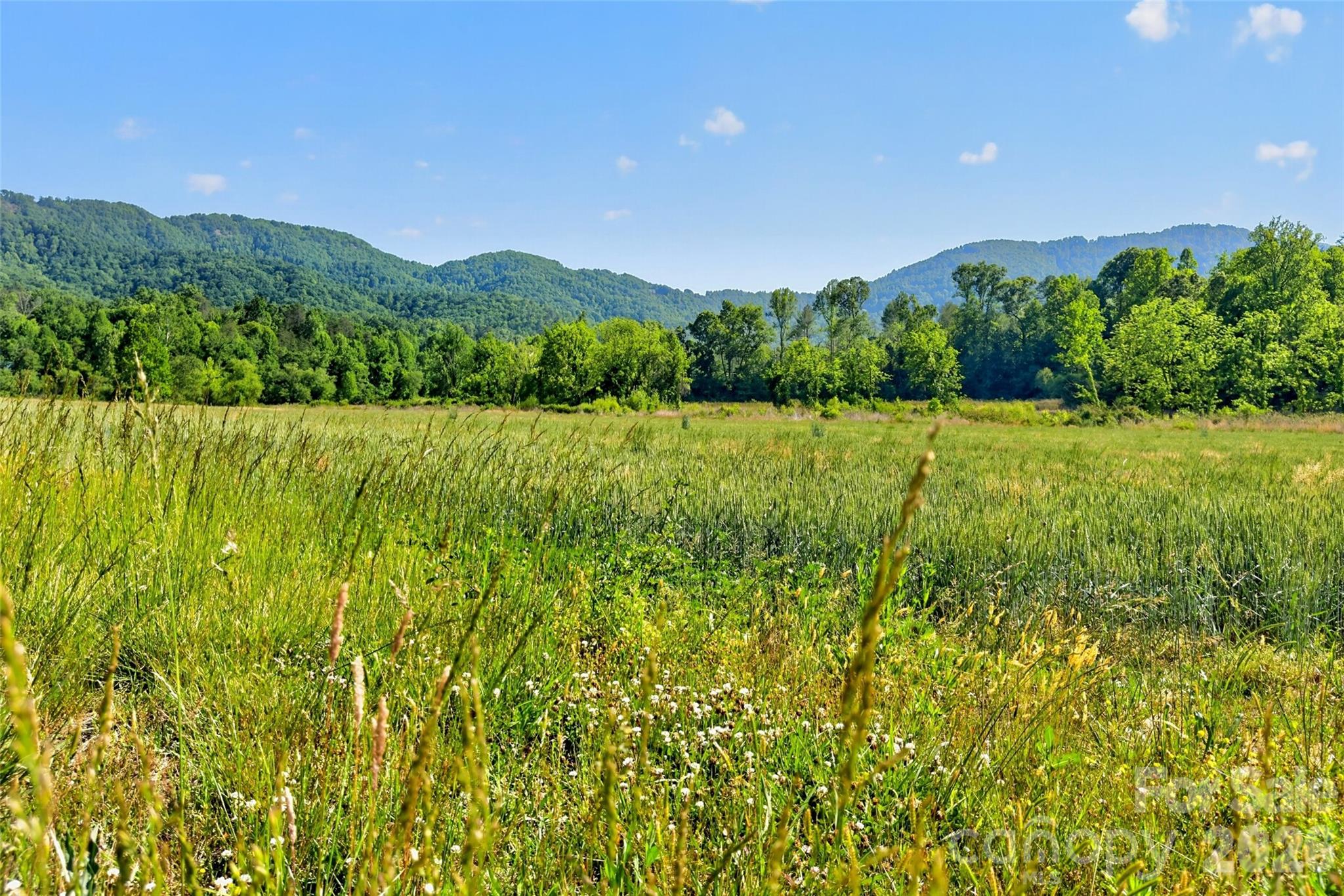 3361 Bethlehem Road Old Fort NC 28762